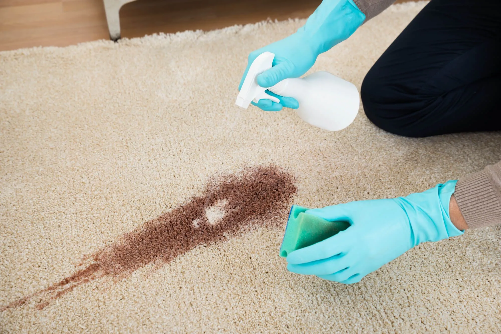 The Truth About Scotchgard: Is It the Best Protection for Your Furniture?