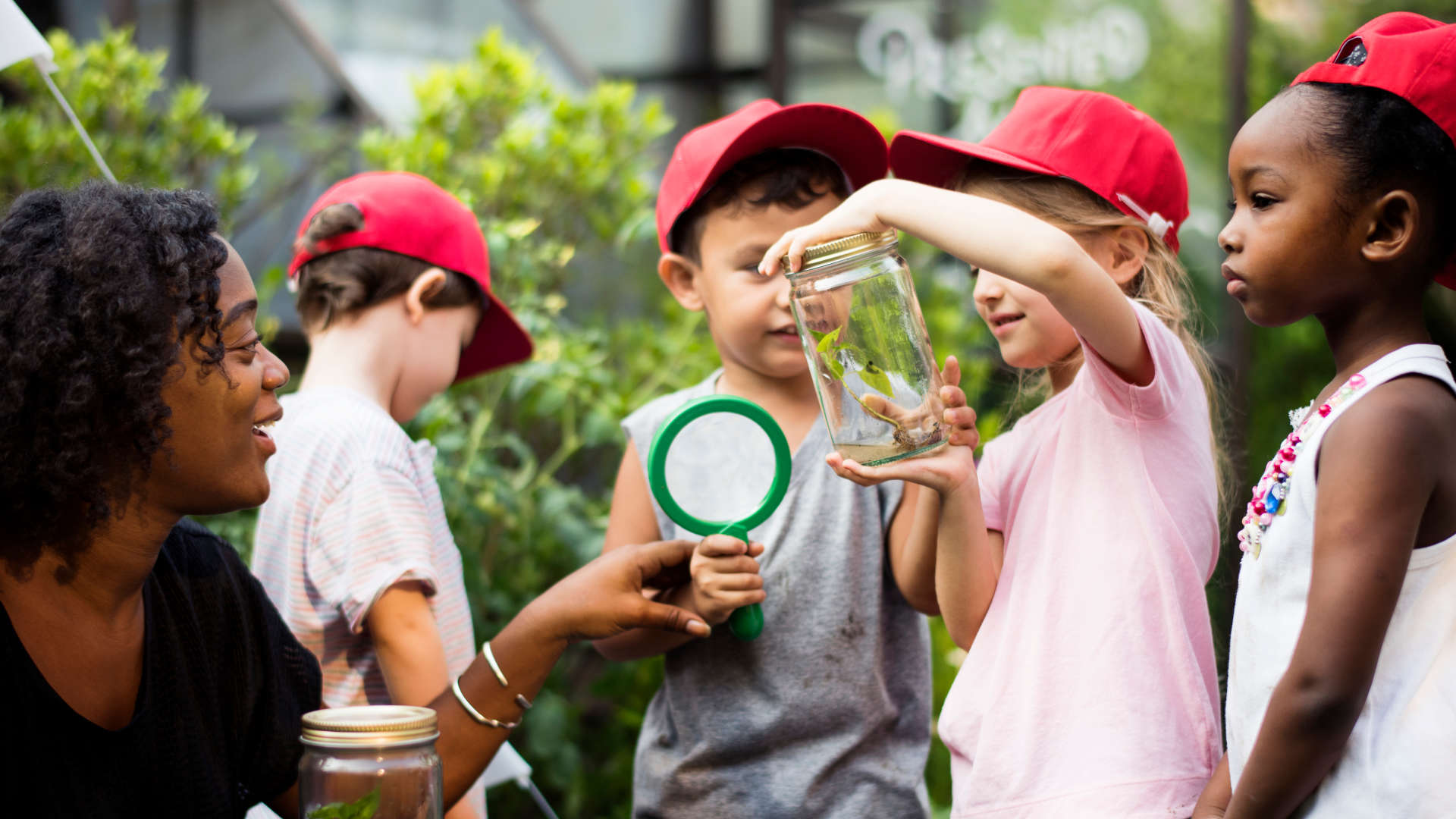 How Curiosity Drives Learning And Innovation?