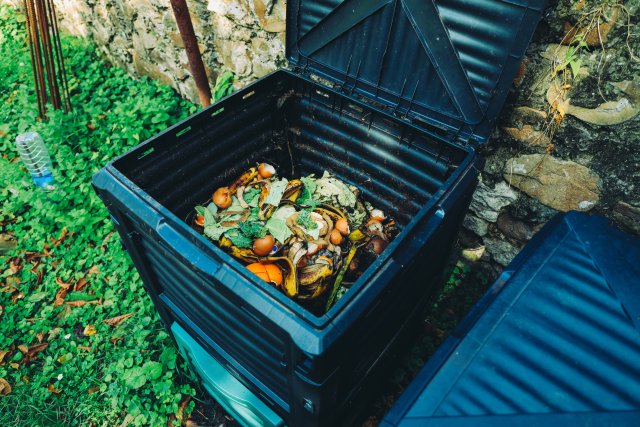 Compost Bin Tips For USA Eco Homes